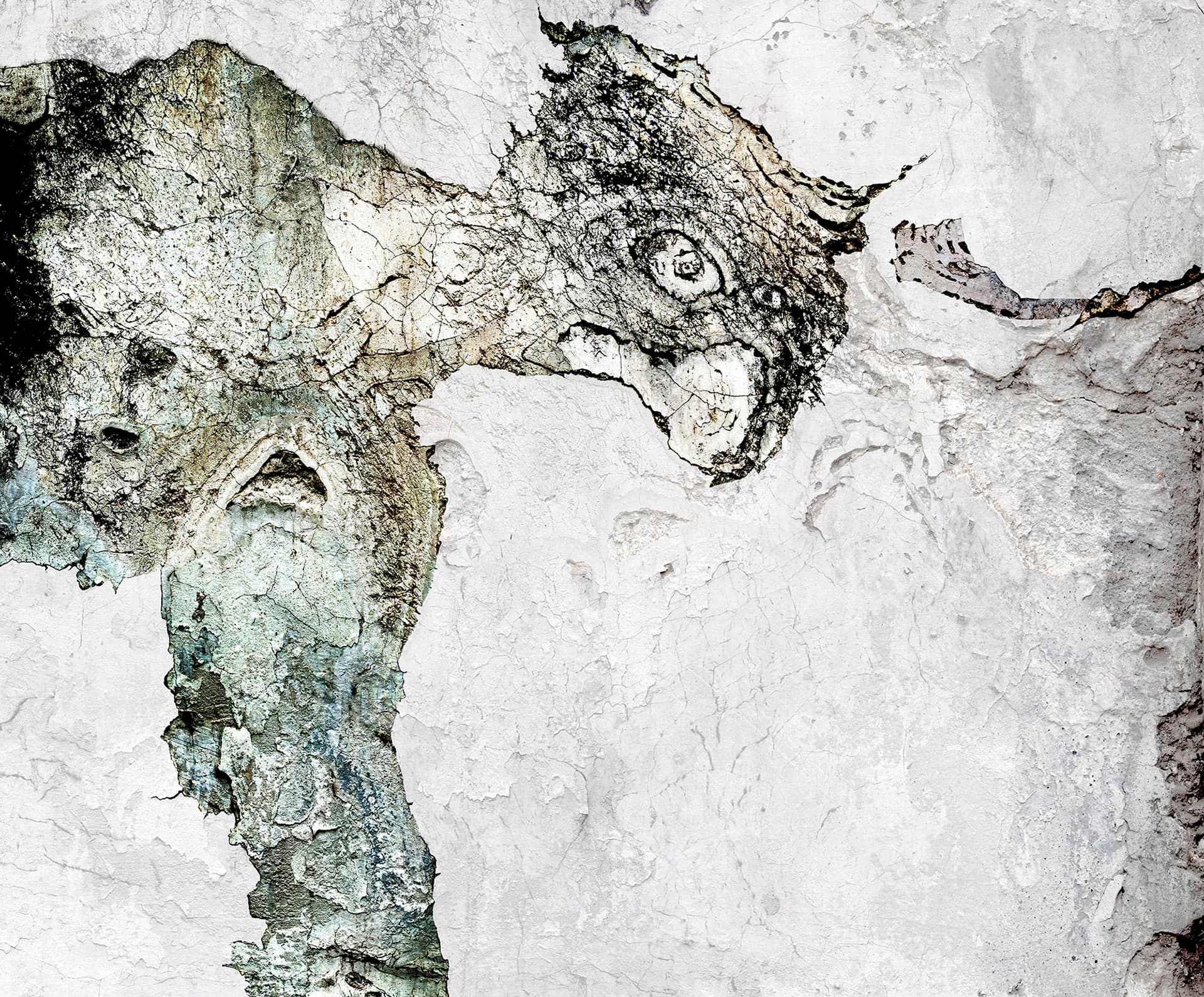 Orel Paleo male