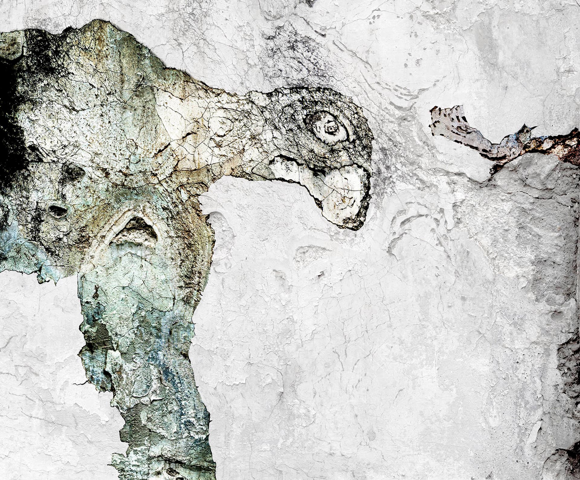 Orel Paleo female