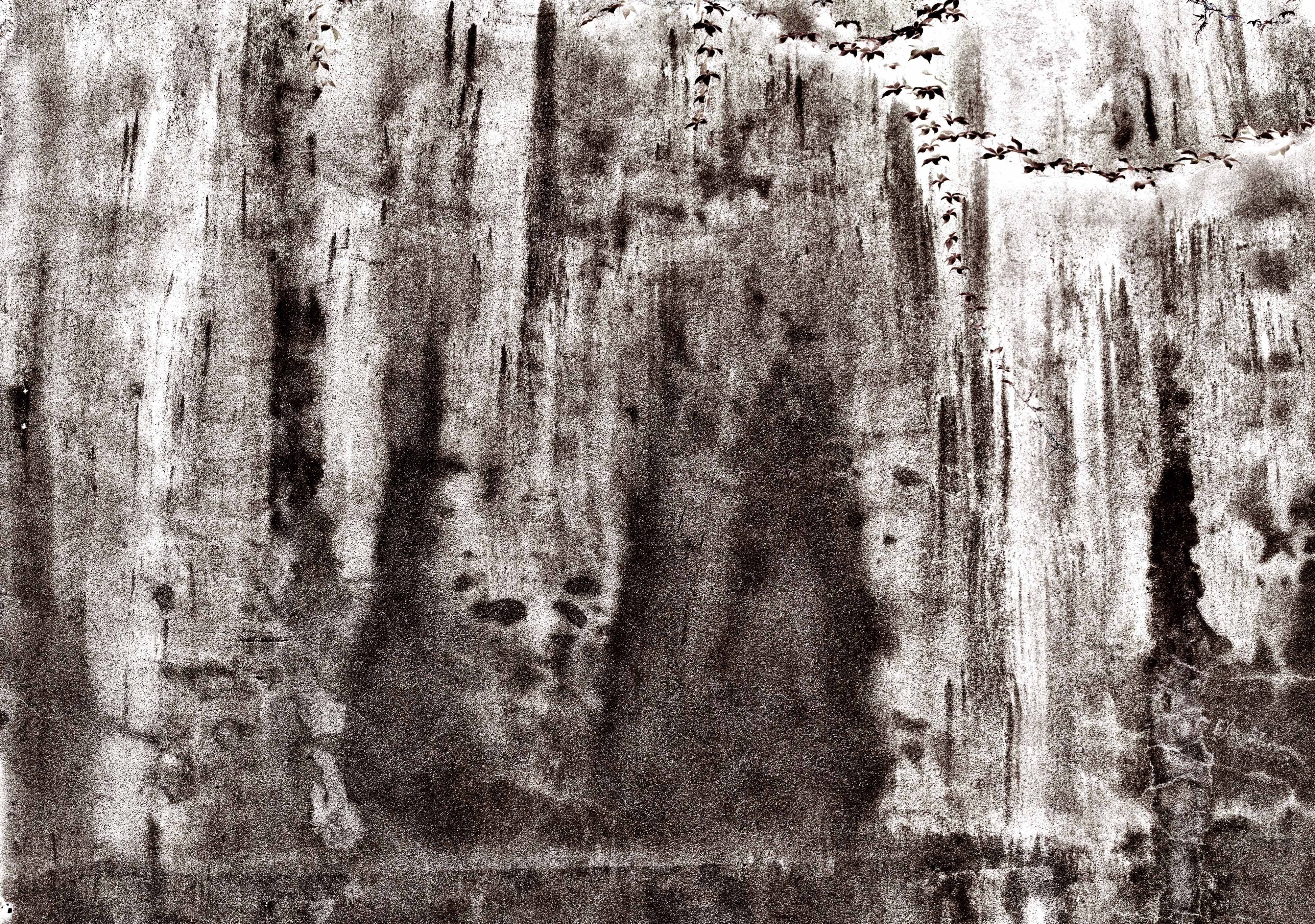 Ink Landscape