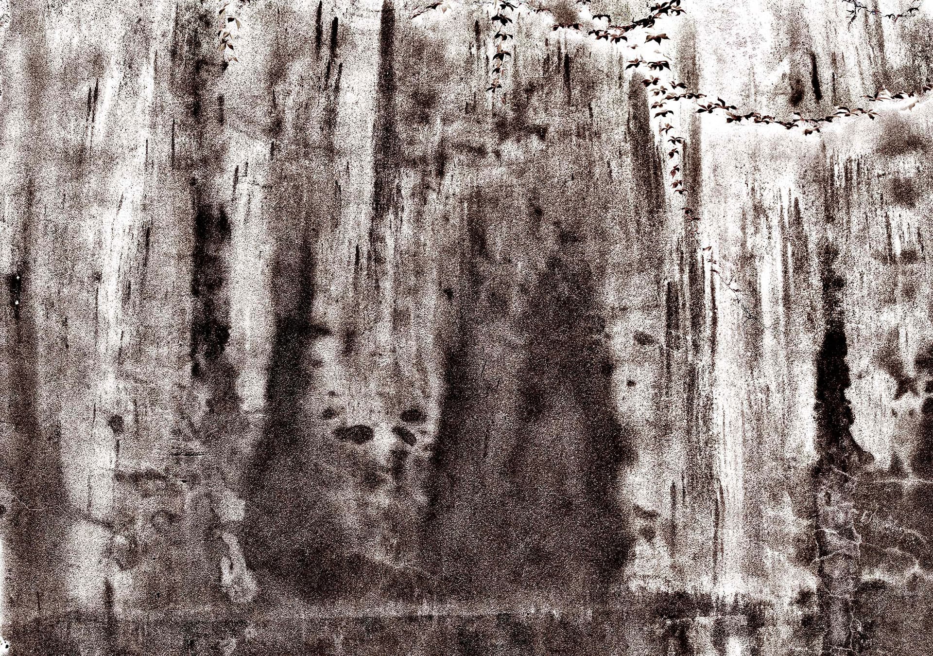 Ink Landscape